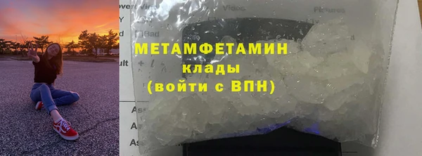 сатива Волосово