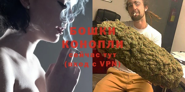 сатива Волосово