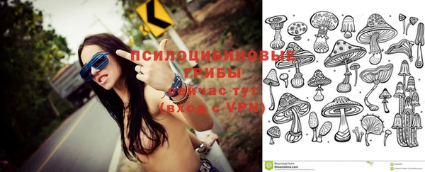 винт Володарск